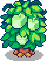 Square Melon Tree Village Decor.png