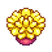 Starlight Coral Item.png